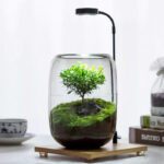 Wholesale Glass Vase HP-002 - Image 2